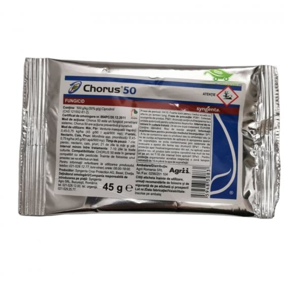 CHORUS 50 (45G)